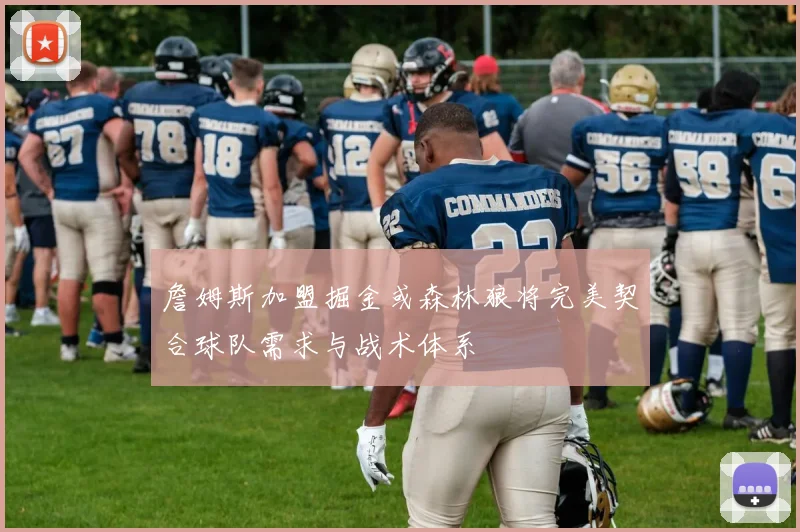 詹姆斯加盟掘金或森林狼将完美契合球队需求与战术体系