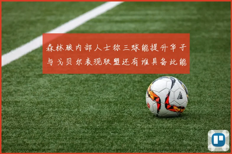 森林狼内部人士称三球能提升华子与戈贝尔表现联盟还有谁具备此能力