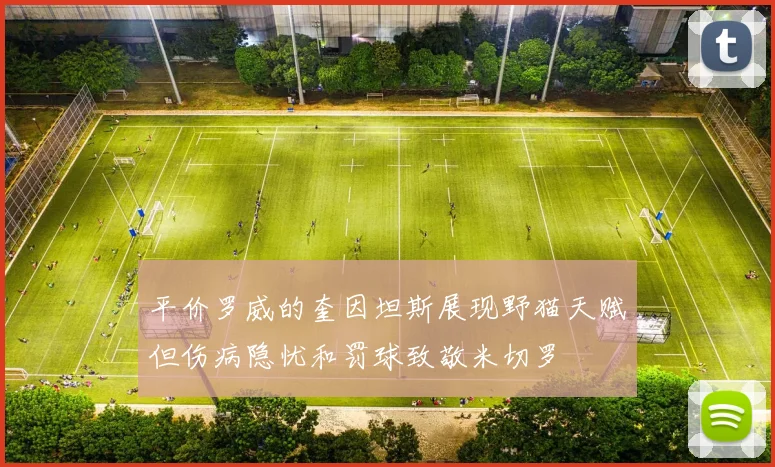 平价罗威的奎因坦斯展现野猫天赋但伤病隐忧和罚球致敬米切罗