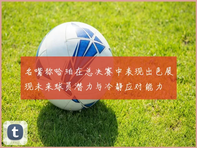 名嘴称哈珀在总决赛中表现出色展现未来球员潜力与冷静应对能力